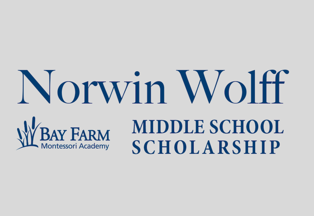 Norwin Wolff Middle School Scholarship