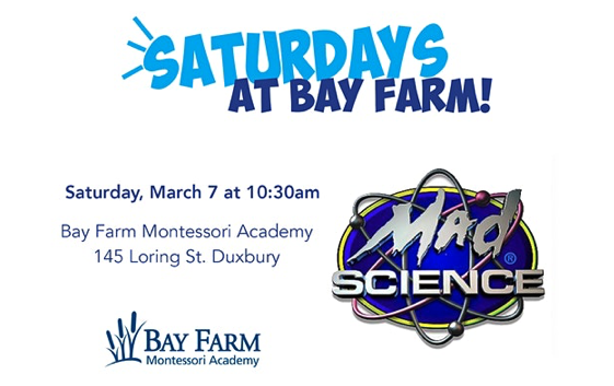 Saturdays at Bay Farm with MAD Science