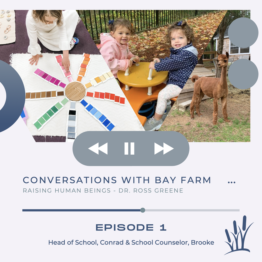 Conversations with Bay Farm Podcast