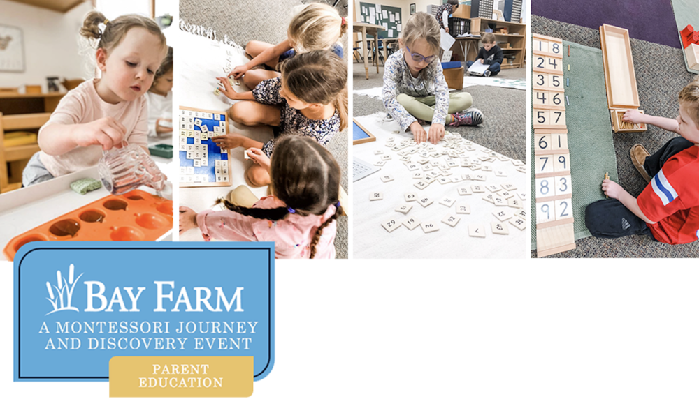 Parent Education Bay Farm Montessori 
