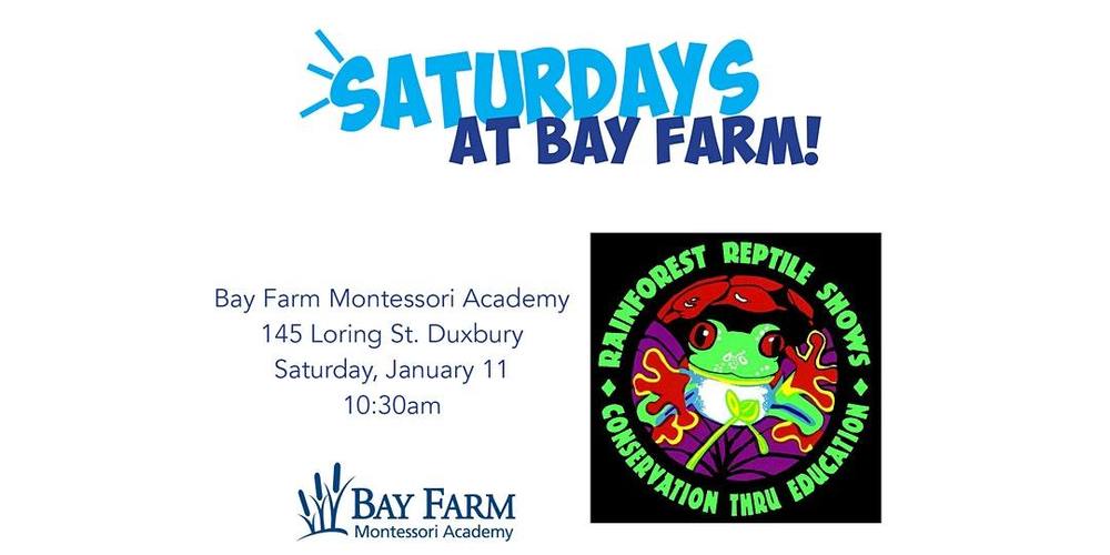 Saturdays at Bay Farm with Rainforest Reptile Shows 
