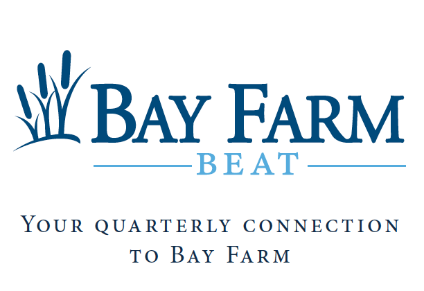 Bay Farm Middle School Private Middle School Montessori Duxbury South Shore