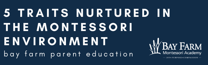 ​5 Traits Nurtured In the Montessori Environment | Bay Farm Parent Education