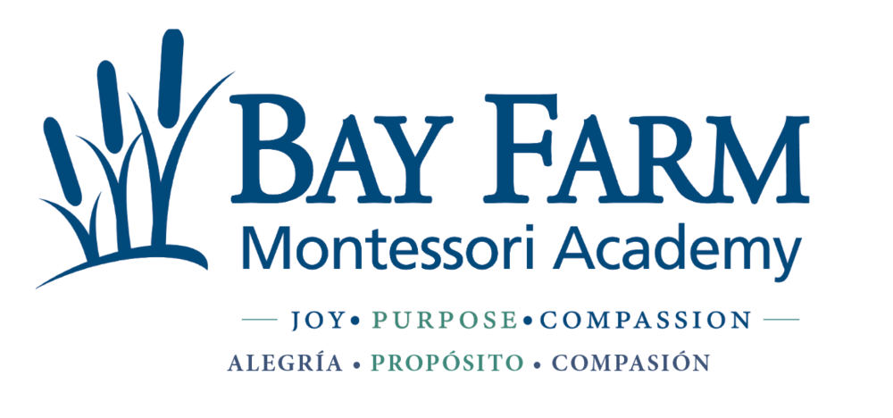 New Spanish Teacher at Bay Farm