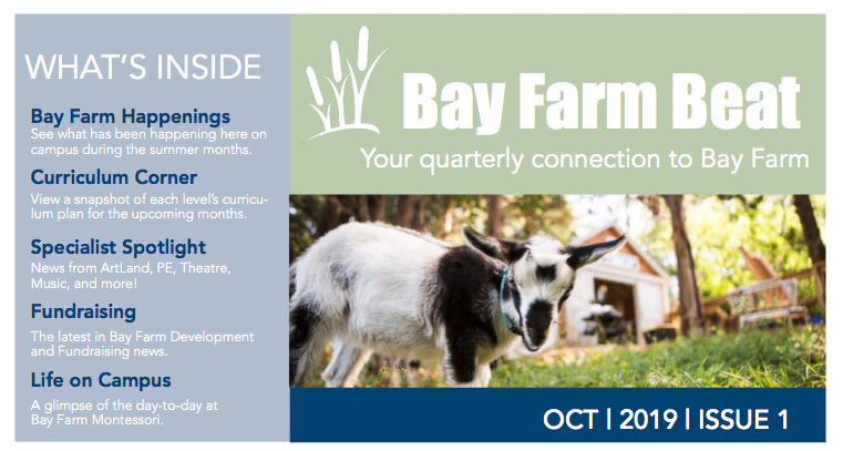 Bay Farm Beat October Cover