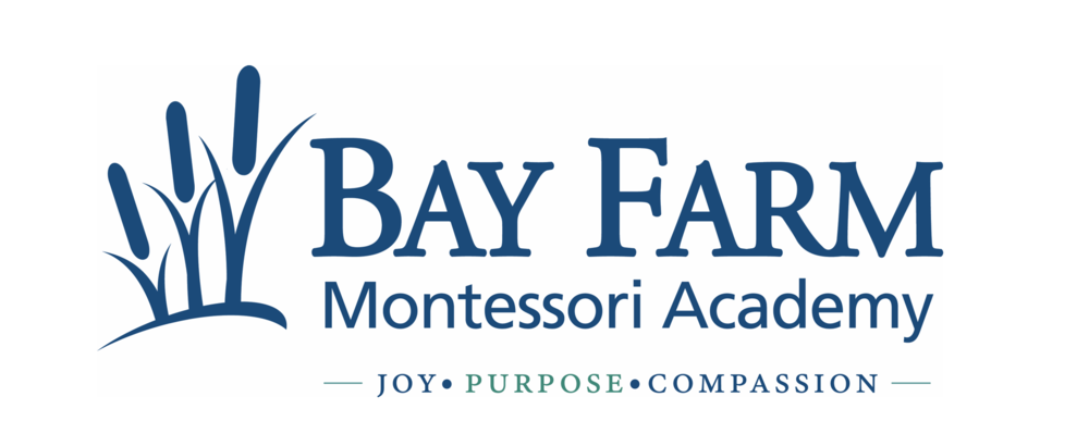 Bay Farm Montessori Academy South Shore Private School