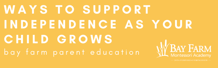 ​5 Ways to Support Independence as They Grow