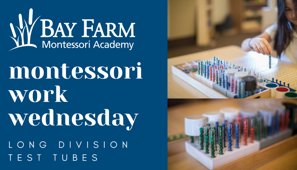 Montessori Work Wednesday: Long Division Test Tubes