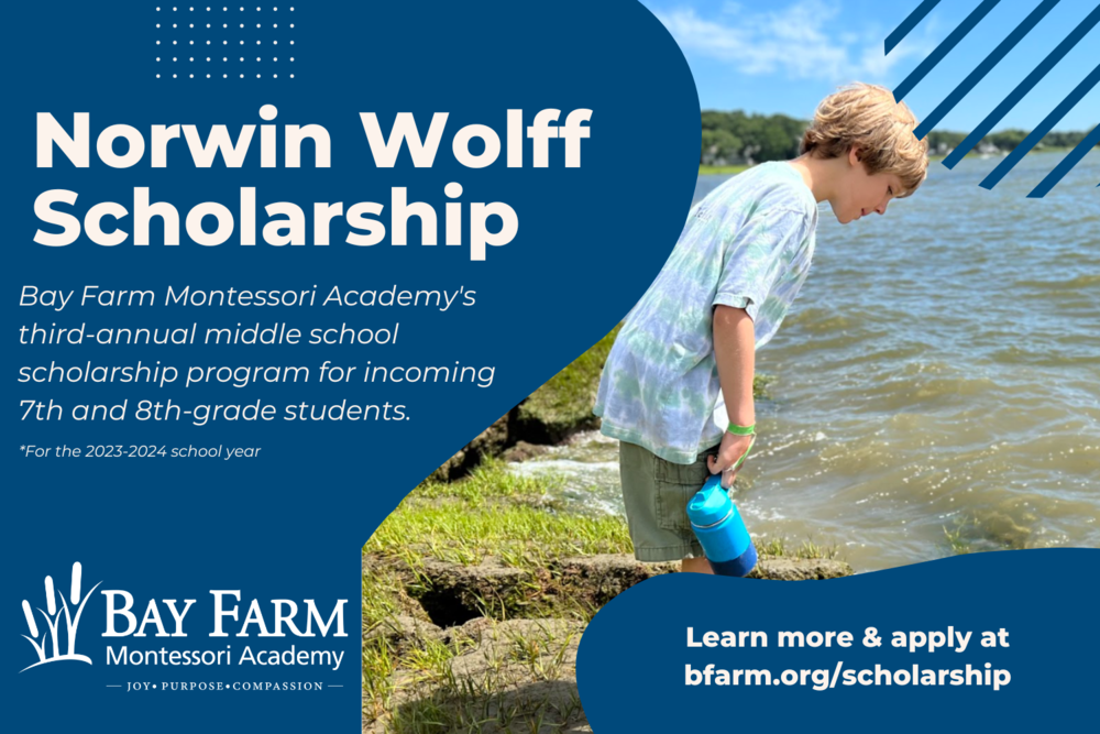 Norwin Wolff Middle School Scholarship Announcement