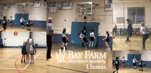 Bay Farm Llamas Finish Basketball Season with 8-2 Record