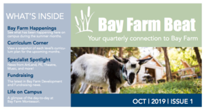Bay Farm Beat - October 2019