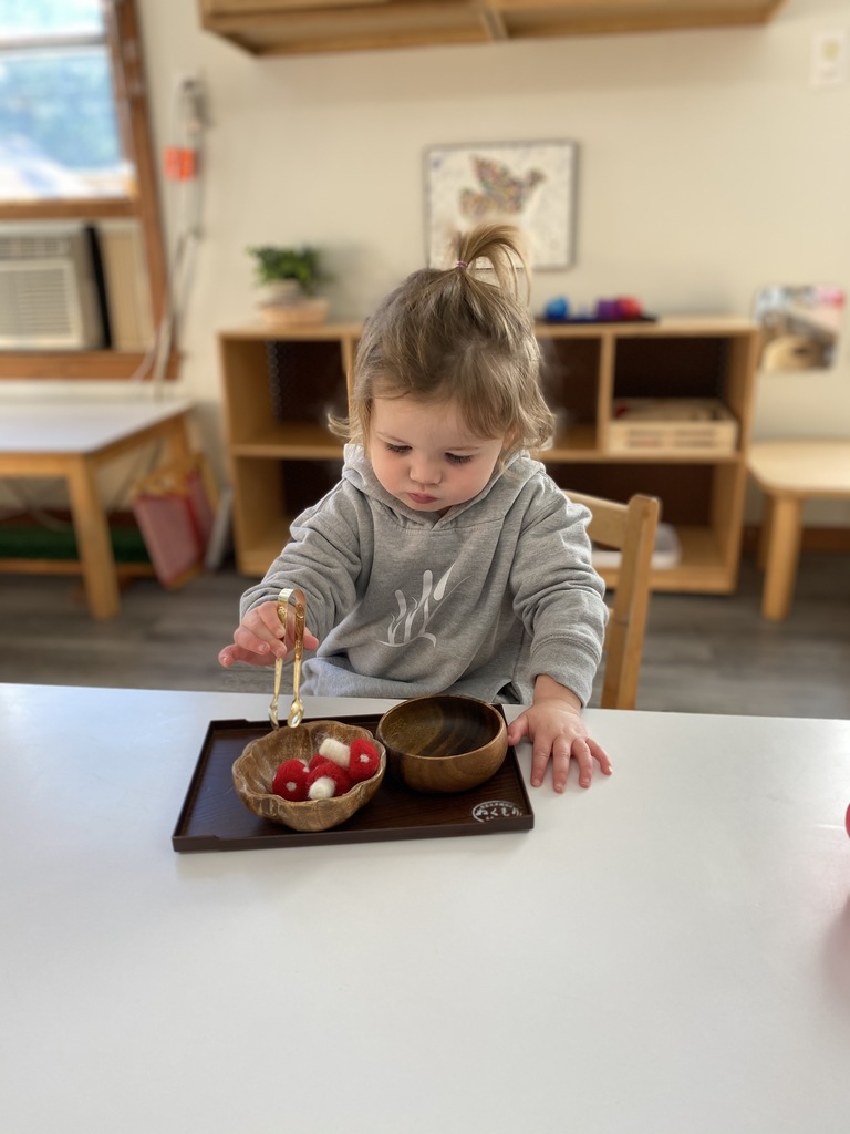 Bay Farm toddler House