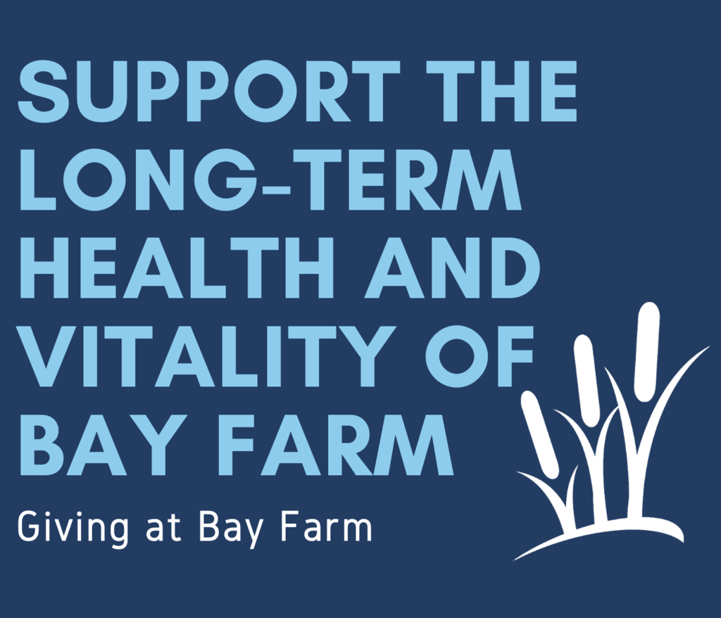 Bay Farm Giving - Support Bay Farm Montessori Academy