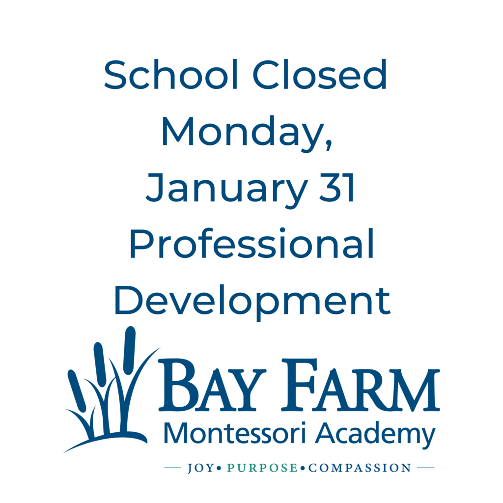Bay Farm Montessori Academy