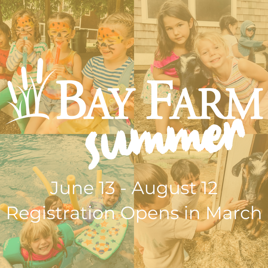 Bay Farm Summer