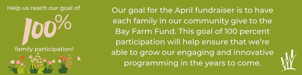 Bay Farm Fund